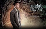 Beautiful Creatures 2013 обои HD фильмов #11