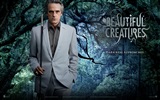 Beautiful Creatures 2013 обои HD фильмов #12