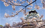 Bing 微软必应高清壁纸：日本风景主题壁纸