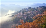 마이크로 소프트 빙 HD 배경 화면 : 일본 풍경 테마 벽지 #12
