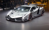 2013 Lamborghini Veneno luxury supercar HD wallpapers #15