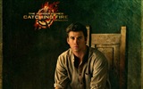 The Hunger Games: Catching Fire 饥饿游戏2：星火燎原 高清壁纸9
