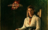 The Hunger Games: Catching Fire 饥饿游戏2：星火燎原 高清壁纸10