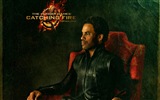 The Hunger Games: Catching Fire HD Wallpaper #11
