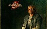 The Hunger Games: Catching Fire 饥饿游戏2：星火燎原 高清壁纸12