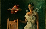 The Hunger Games: Catching Fire 飢餓遊戲2：星火燎原 高清壁紙 #13
