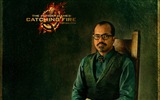 The Hunger Games: Catching Fire 饥饿游戏2：星火燎原 高清壁纸14