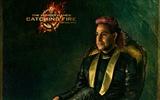 The Hunger Games: Catching Fire HD Wallpaper #15