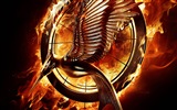 The Hunger Games: Catching Fire fonds d'écran HD #17