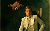 The Hunger Games: Catching Fire fonds d'écran HD #18