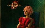 The Hunger Games: Catching Fire fonds d'écran HD #19