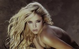 Shakira 夏奇拉 高清壁紙 #7