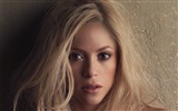 Shakira HD tapety na plochu #17