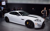 2014 Jaguar XKR-S GT 捷豹XKR-S GT跑車高清壁紙 #19