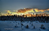 윈도우 8 테마 배경 화면 : 알래스카 풍경 #3