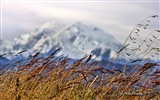 Windows 8 тема обоев: пейзажи Аляски #15