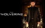 The Wolverine 2013 HD wallpapers #2