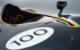 2013 Aston Martin CC100 Speedster concept 阿斯顿·马丁CC100概念车 高清壁纸18