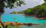 Сейшельские острова природа пейзаж HD обои #6