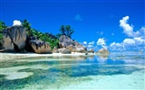 Сейшельские острова природа пейзаж HD обои #11