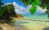 Seychely Ostrov terén HD tapety na plochu #12