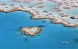 微軟Bing主題高清壁紙，澳大利亞，城市，景觀，动物 #12