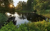 스웨덴 사계절 자연의 아름다움 HD 배경 화면 #3