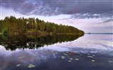 스웨덴 사계절 자연의 아름다움 HD 배경 화면 #9