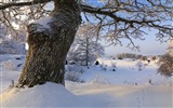 Schweden Jahreszeiten natürliche Schönheit HD Wallpaper #13