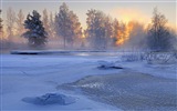 Швеции сезонов природную красоту HD обои #15