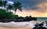 Windows 8 Theme Wallpaper: Hawaiian Landschaft #11