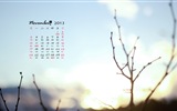 Novembre 2013 Calendar Wallpaper (1) #17