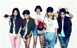 GLAM корейской музыки девушки HD обои #16