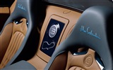 2013 Bugatti Veyron 16.4 Grand Sport Vitesse supercar fonds d'écran HD #10
