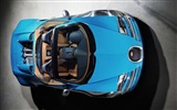 2013 Bugatti Veyron 16.4 Grand Sport Vitesse суперкар HD обои #11
