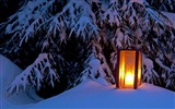 Windows 8 主题高清壁纸：冬季雪的夜景2