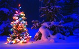 Windows 8 主題高清壁紙：冬季雪的夜景 #4