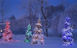 윈도우 8 테마 배경 화면의 HD : 겨울 눈 밤 #8