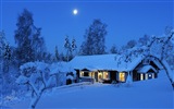 윈도우 8 테마 배경 화면의 HD : 겨울 눈 밤 #13