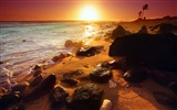 Windows 8 主題壁紙：海灘的日出日落美景 #1