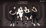 Корейская музыка девушки группа 2NE1 HD обои #11
