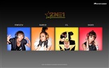 한국 음악 소녀 그룹 2NE1의 HD 배경 화면 #16