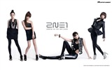 Korean music girls skupina 2NE1 HD tapety na plochu #22