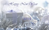 2014 Новый год Стиль Обои (2) #11