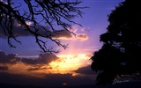 После захода солнца, озеро Охрид, Windows 8 тема HD обои #3