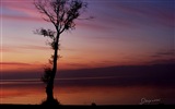 日落之后，奥赫里德湖，Windows 8 主题高清壁纸13