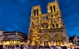 Notre Dame HD Wallpapers #7