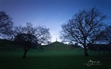 Новая Зеландия North Island красивые пейзажи, Windows 8 тема обои #12