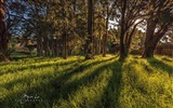 뉴질랜드 북섬의 아름다운 풍경, 윈도우 8 테마 배경 화면 #13