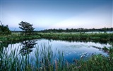 Spiegelung im Wasser natürlichen Landschaft Tapeten #11